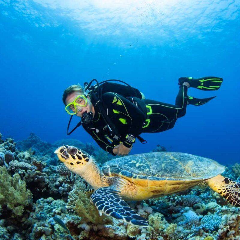 kurs nurkowania AOWD