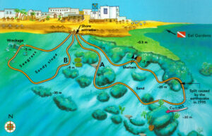 Nurkowanie-Lighthouse-Dahab