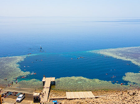 Nurkowanie Dahab
